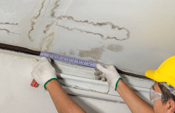 Reliable Mold Remediation contractor in Charleston, MS by Water Damage Irwin